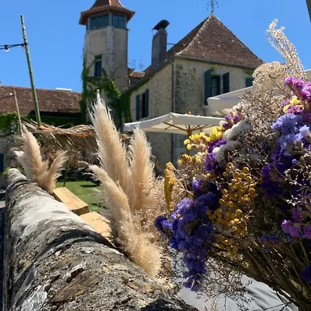 Chateau De Baylac Bed & Breakfast Bugnein